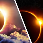 கழுத்தறுத்து இளைஞன் கொலை; வட்டிப்பணம் பின்னணி