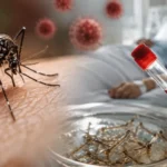 ஜெர்மனியில் துப்பாக்கிச் சூடு: பலர் படுகாயம் – 5 பேர் உயிரிழப்பு