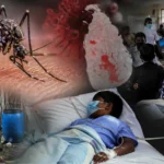 ட்ரில்லியனர் அந்தஸ்தை இழந்தார் ஈலோன் மஸ்க்…!