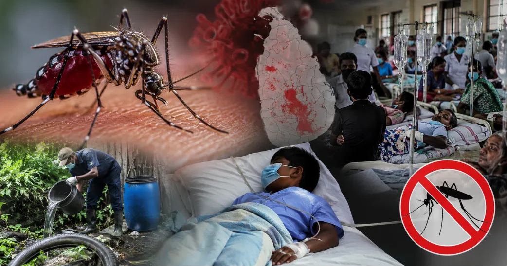 நாட்டில் டெங்கு பரவல் தீவிரம்…!29 உயிரிழப்புகள், மருத்துவமனைகள் நிரம்பும் நிலை.