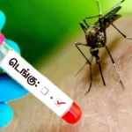2029-இல் டிஜிட்டல் யுகத்துக்கு மாறும் இலங்கை…! JICA-வின் புதிய மாபெரும் மானியம்