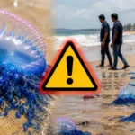 அமெரிக்காவின் அதிரடி நடவடிக்கை…! சீன ரோபோக்கள் இறக்குமதிக்கு ட்ரம்ப் தடை.