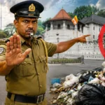 கனடாவில் அதிர்ச்சி சம்பவம்…! சிறுவனை கடித்த காட்டு ஓநாய்.